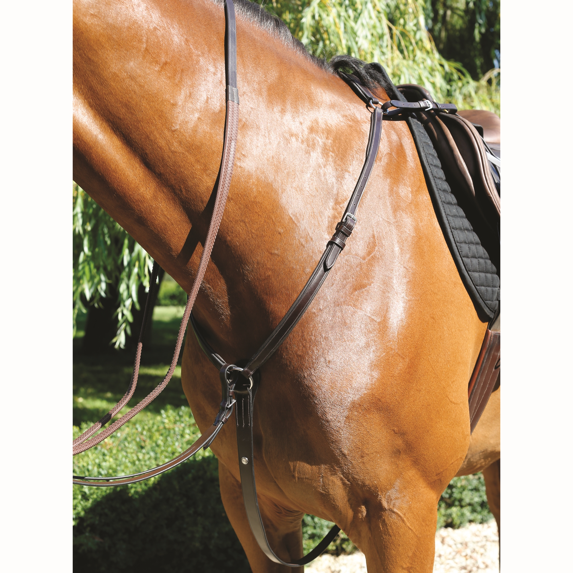 Padded Breastplate Martingales and Breastplates Horse Wear Wefi